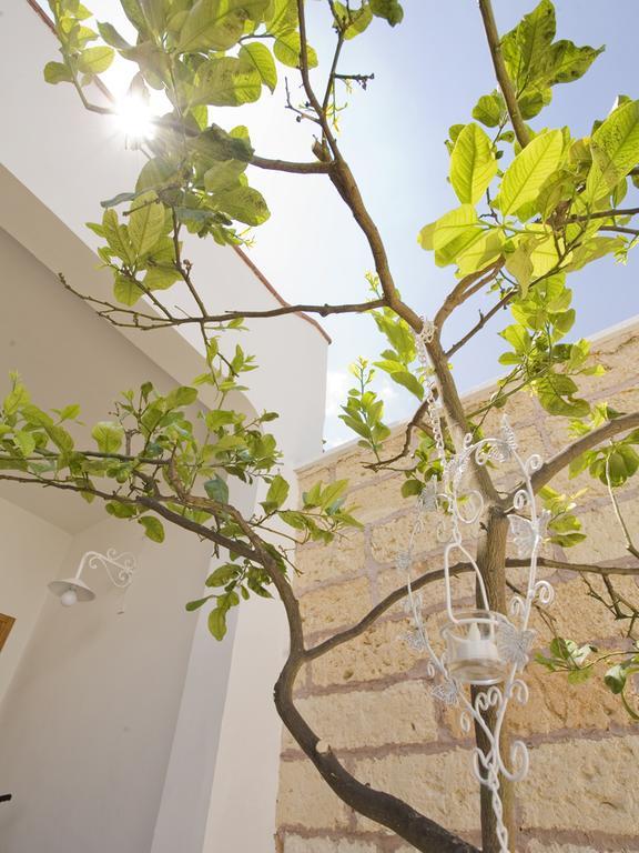 B&B Viro Campi Salentina Exteriér fotografie